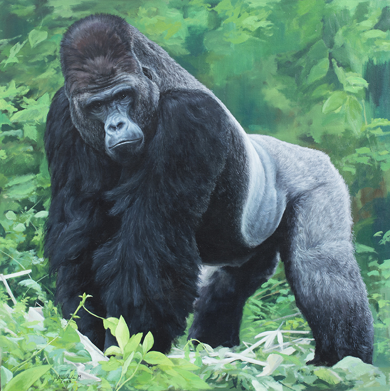 "Gorila". Óleo sobre lienzo. 100x100 cm 2020 SOLD
